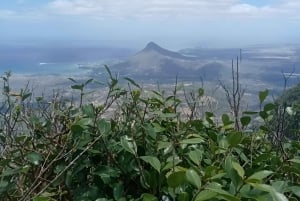 Mauritius: Piton de la Petite Rivière Noire Guidad vandring