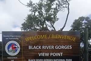 Mauritius: Piton de la Petite Rivière Noire guidet vandretur