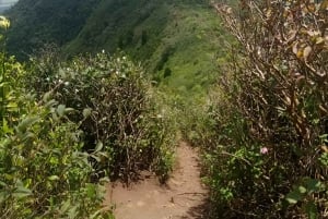 Mauritius: Piton de la Petite Rivière Noire guidet vandretur