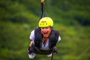 Mauritius: pacchetto singolo Platinum al Vallé Advenature Park