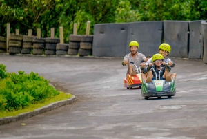 Mauritius: pacchetto singolo Platinum al Vallé Advenature Park