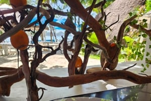 Mauritius: Ile aux deux cocos, Pointe d'esny, Museum