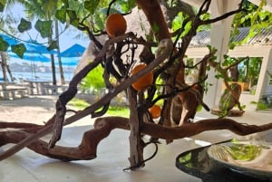 Mauritius: Ile aux deux cocos, Pointe d'esny, Museum