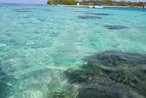 Mauritius: Ile aux deux cocos, Pointe d'esny, Museum