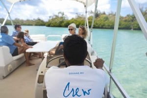 Mauritius: Pontoon Boat cruise South-East coast