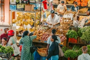 Ilhas Maurício: Viagem de 1 dia para Port Louis e Destaques do Norte