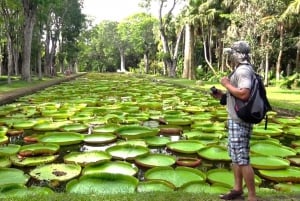 Ilhas Maurício: Viagem de 1 dia para Port Louis e Destaques do Norte