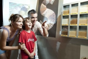 Ilhas Maurício: Viagem de 1 dia para Port Louis e Destaques do Norte