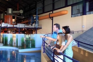 Ilhas Maurício: Viagem de 1 dia para Port Louis e Destaques do Norte