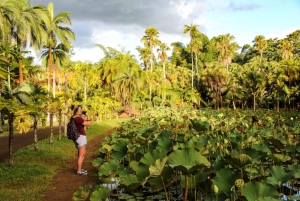 Île Maurice : Visite guidée d'une demi-journée à Port-Louis avec prise en charge à l'hôtel