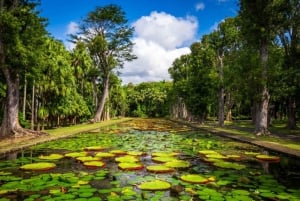 Île Maurice : Visite guidée d'une demi-journée à Port-Louis avec prise en charge à l'hôtel