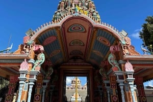 Île Maurice : Port-Louis, Jardin de Pamplemousses guide et prise en charge