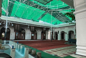 Île Maurice : Port-Louis, Jardin de Pamplemousses guide et prise en charge