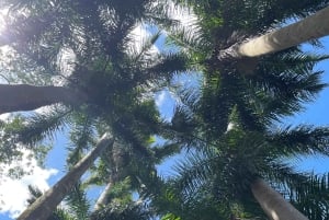 Île Maurice : Port-Louis, Jardin de Pamplemousses guide et prise en charge