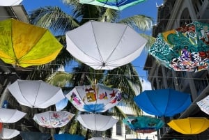 Île Maurice : Port-Louis, Jardin de Pamplemousses guide et prise en charge