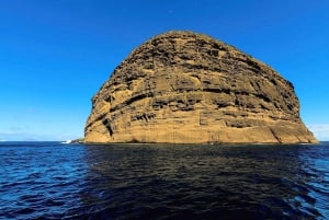 Mauritius PRIVATE 3 North Island-tur