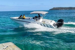 Mauritius PRIVATE 3 North Island-tur