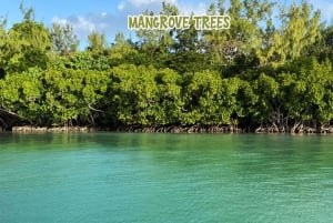 Mauritius: Private 5 Islands Speedboat Tour with BBQ
