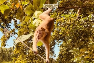 Mauritius: Private 5 Islands Speedboat Tour with BBQ