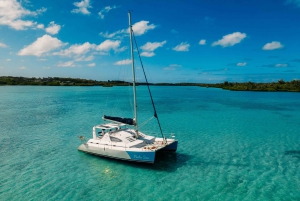 Mauritius: Privat omvisning med katamaran til île aux Cerfs