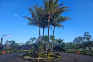 Tour privato combinato del sud e del nord di Mauritius