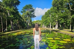 Tour privato combinato del sud e del nord di Mauritius