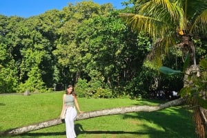 Tour privato combinato del sud e del nord di Mauritius