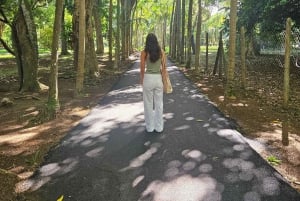 Tour privato combinato del sud e del nord di Mauritius