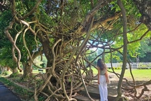 Tour privato combinato del sud e del nord di Mauritius