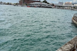 Маврикий: индивидуальный тур с местным экскурсоводом