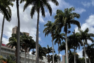 Mauritius: tour privato e personalizzato con una guida locale