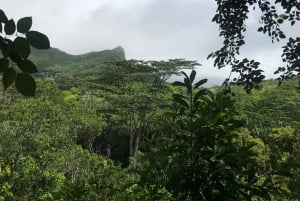 Mauritius: Private Full-Day Instagram Tour
