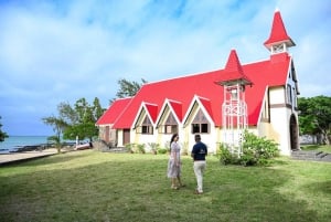 Mauritius: Tour privato di un giorno intero a Mauritius Nord