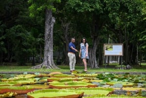 Mauritius: Tour privato di un giorno intero a Mauritius Nord