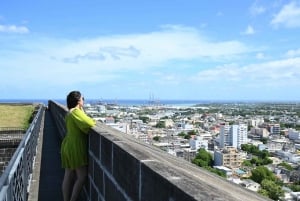 Mauritius: Tour privato di un giorno intero a Mauritius Nord