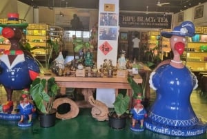 Mauritius: Yksityiset kokopäiväretket pohjoiseen