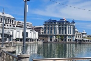 Mauritius: Yksityiset kokopäiväretket pohjoiseen