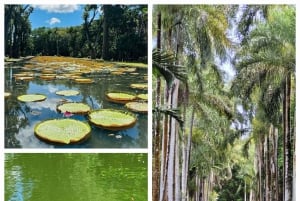 Mauritius: Yksityiset kokopäiväretket pohjoiseen