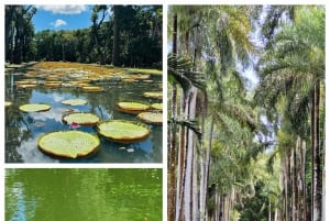 Mauricio: tours privados de día completo por el norte