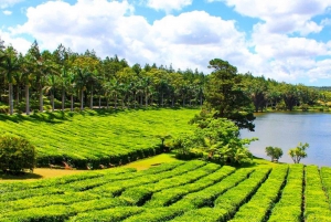 Mauritius: Private Ganztagestour durch den Süden von Mauritius