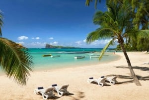 Mauritius: Prywatna całodniowa wycieczka po północnym wybrzeżu