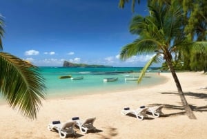 Mauricio: Tour privado de un día completo por la costa norte