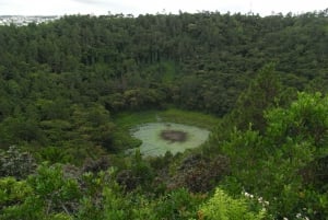 Sudoeste: tour privado de dia inteiro com bilhetes de entrada e almoço