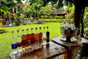 Sudoeste: tour privado de dia inteiro com bilhetes de entrada e almoço