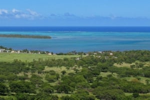 Sudoeste: tour privado de dia inteiro com bilhetes de entrada e almoço