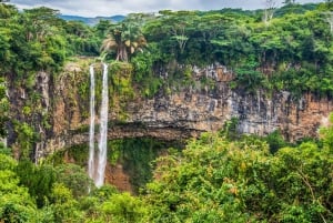 Sudoeste: tour privado de dia inteiro com bilhetes de entrada e almoço