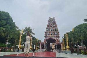 Mauritius: Privat guidad tur runt hela ön i sex dagar