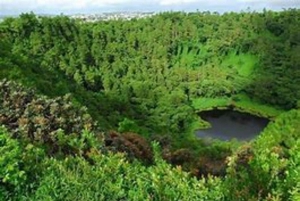 Mauritius: Tour privato guidato del sud con pick-up