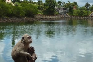 Mauritius: Private Guided South Tour mit Abholung