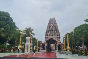 Mauritius: Private Guided Tour All Round The Island